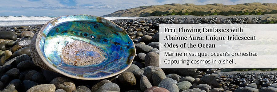 Free Flowing Fantasies with Abalone Aura Banner