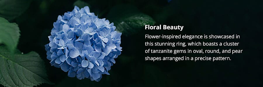 Floral Beauty Banner