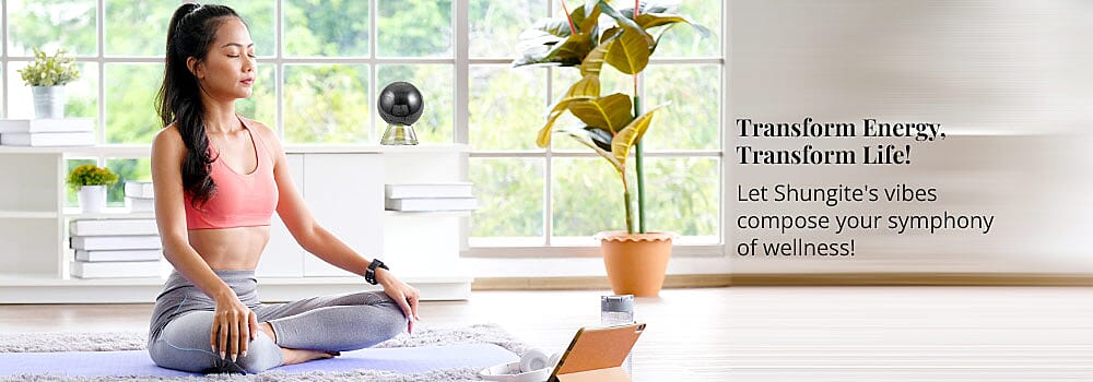 Transform Energy, Transform Life! Banner