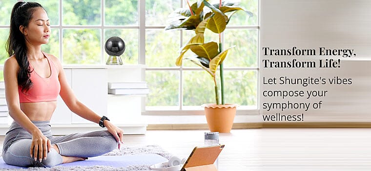 Transform Energy, Transform Life! Banner