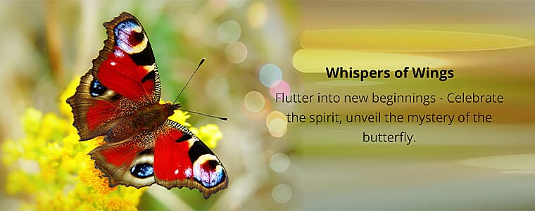 Whispers of Wings Banner