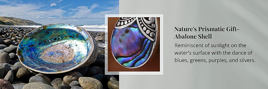 Nature's Prismatic Gift- Abalone Shell Banner