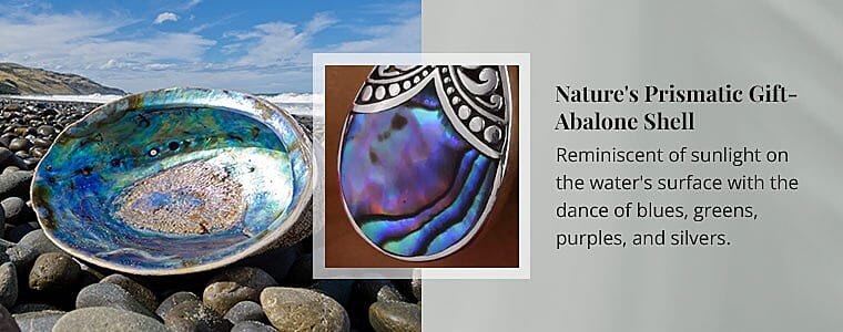 Nature's Prismatic Gift- Abalone Shell Banner