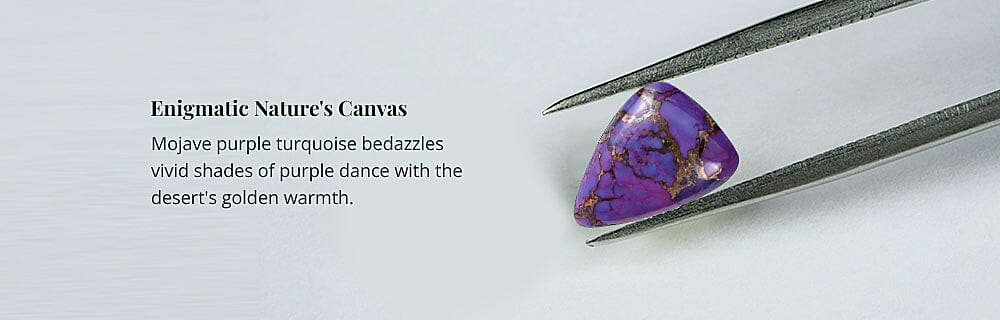 Enigmatic Nature's Canvas Banner