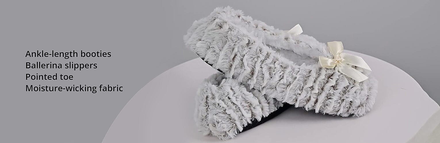 Ballerina slippers Banner