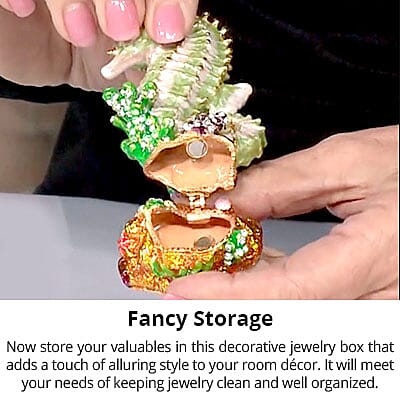 Fancy Storage