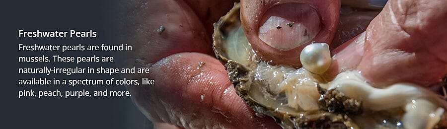 Solitaire Studs Banner