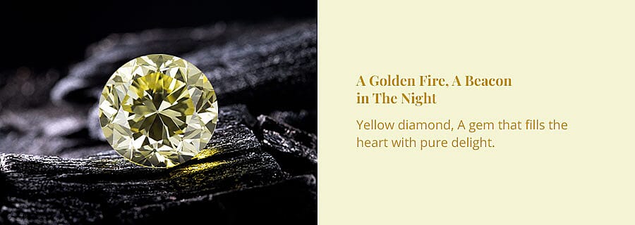 A Golden Fire, A Beacon in The Night Banner