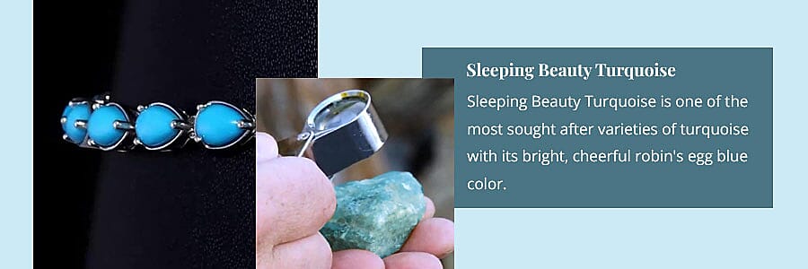 Sleeping Beauty Turquoise Banner