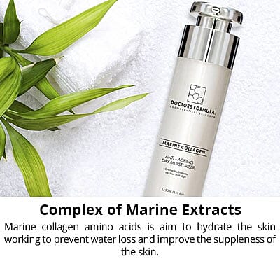 Anti-Ageing Day Moisturizer