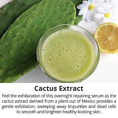 Cactus Extract