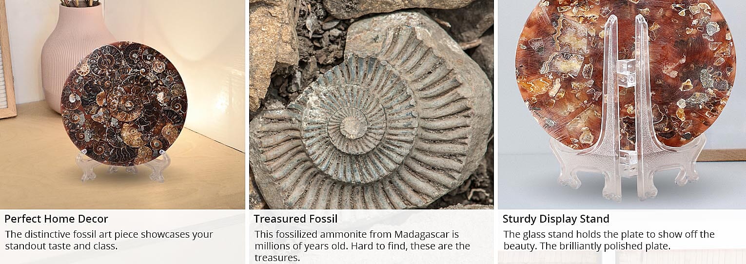 Sturdy Display Stand