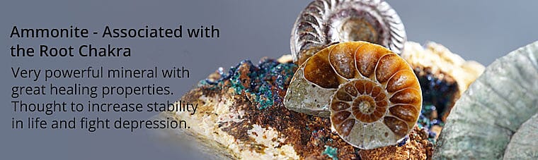 Ammonite- Associated with the Root Chakra
