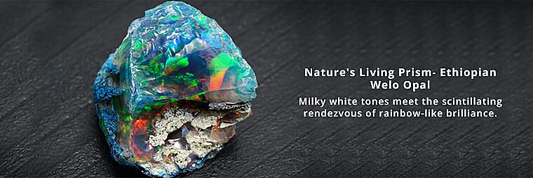 Captivating Colors that Mesmerize Your Senses Banner