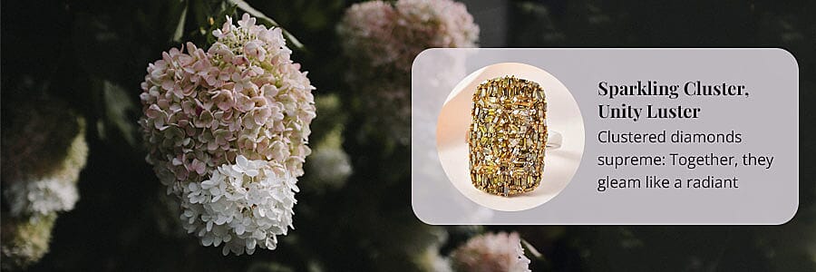 Diamond's Radiant Glow, A Timeless Show Banner