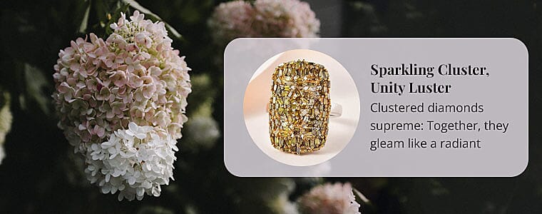 Diamond's Radiant Glow, A Timeless Show Banner