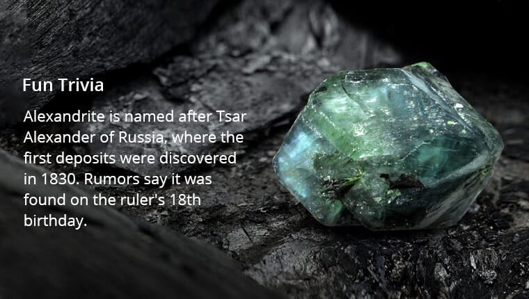 Fun Trivia