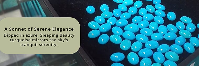 Luxoro Sleeping Beauty Turquoise Stud Earrings in 10K Yellow Gold Banner