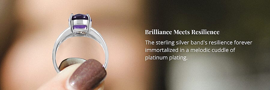 Brilliance Meets Resilience Banner