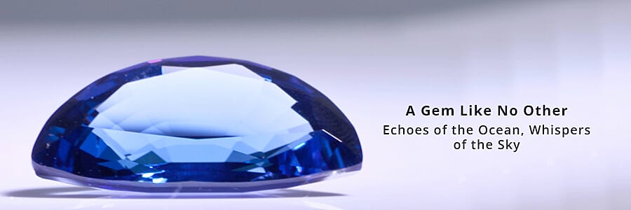 A Gem Like No Other Banner