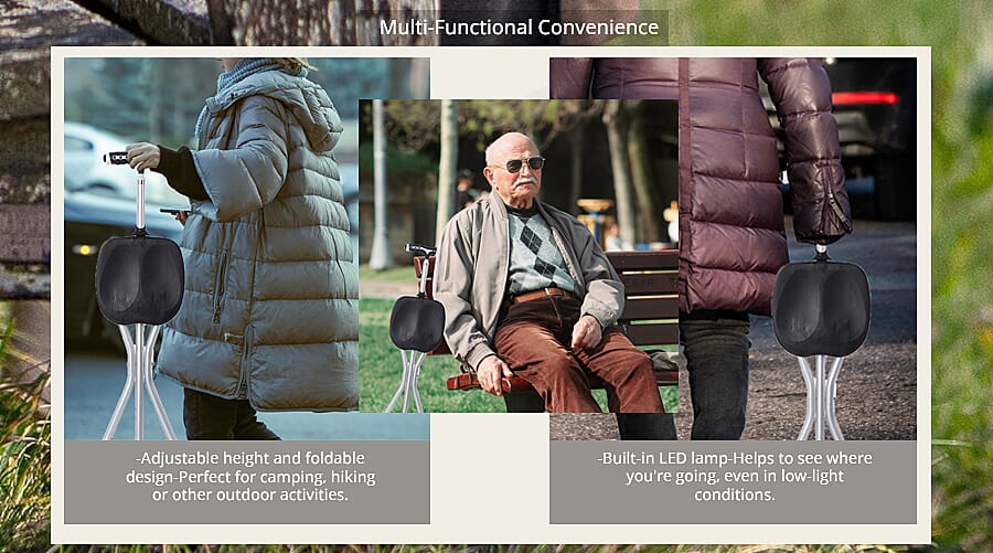 Walking Cane   Banner