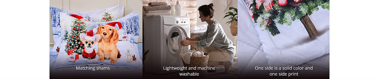 Exquisite Prints Banner