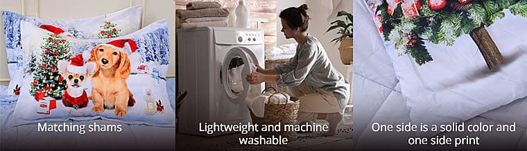 Exquisite Prints Banner