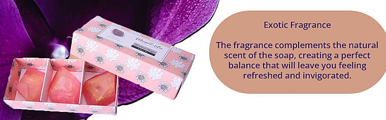 Gentle Yet Effective Soap Banner