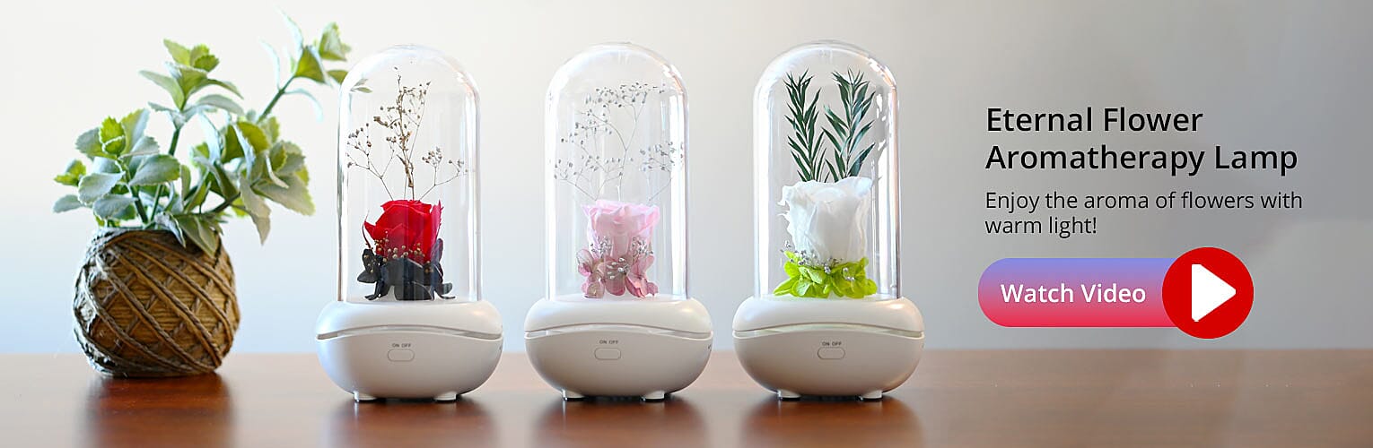 Eternal Flower Aromatherapy Lamp Banner