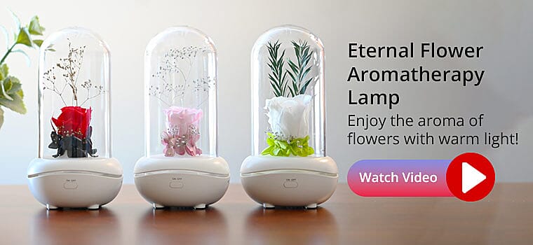 Eternal Flower Aromatherapy Lamp Banner