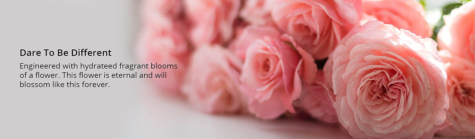 Create A Relaxing Retreat Banner