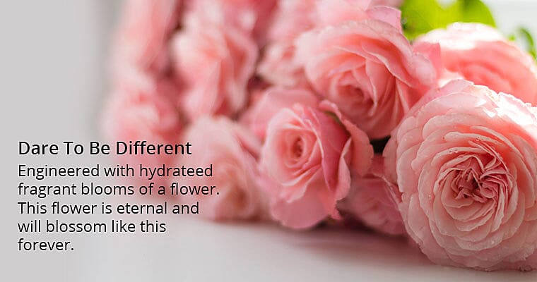 Create A Relaxing Retreat Banner