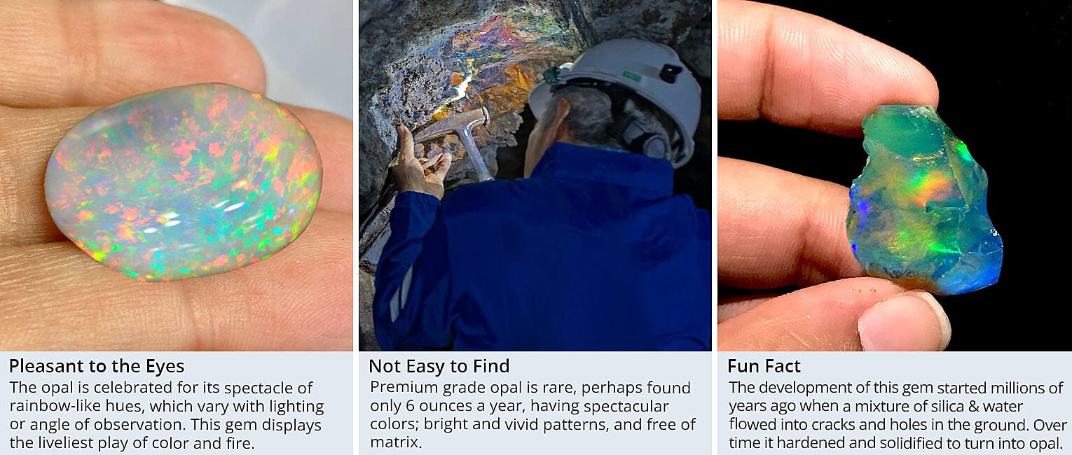 Pleasant to the eyes Banner