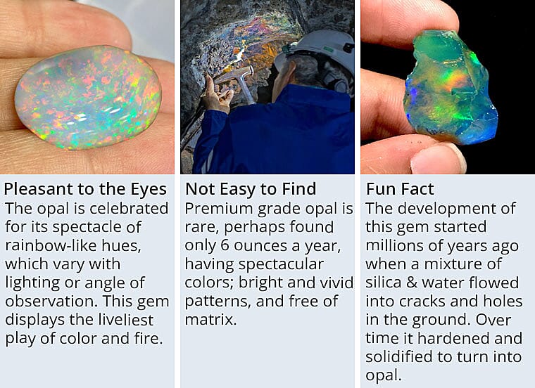 Pleasant to the eyes Banner