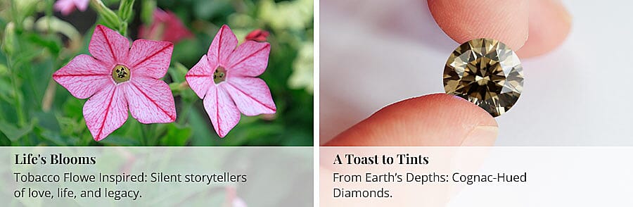 Life's Blooms Banner