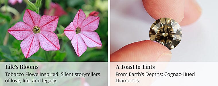 Life's Blooms Banner