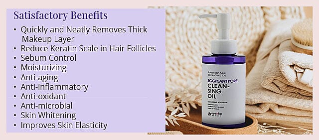 Eggplant Pore Cleansing Oil Banner