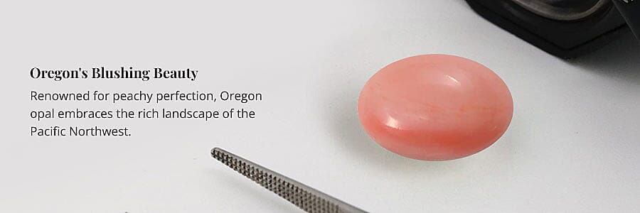 Oregon's Blushing Beauty Banner