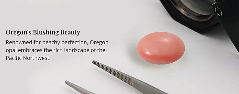 Oregon's Blushing Beauty Banner