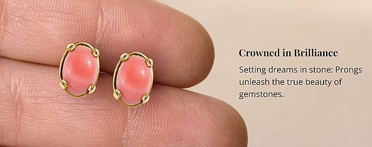 Crowned in Brilliance Banner