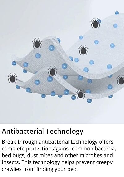 class= Aroma Sleep Comforter