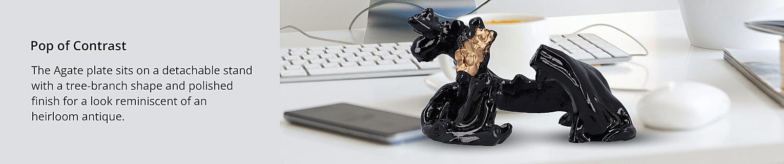 Pop of Contrast Banner