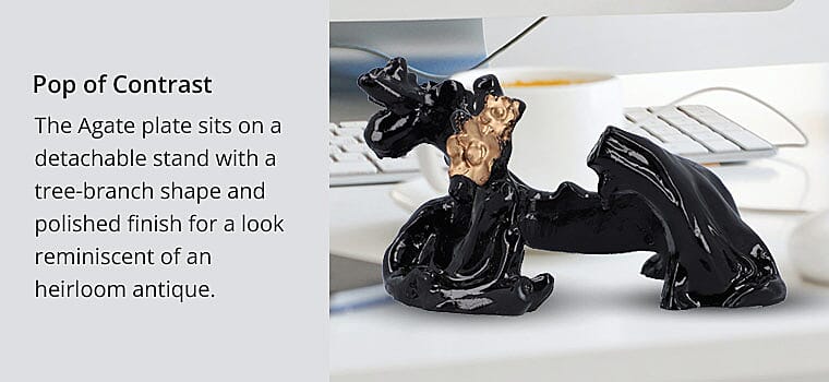 Pop of Contrast Banner