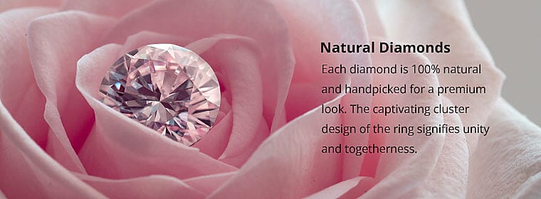 Touch of Sophistication Banner