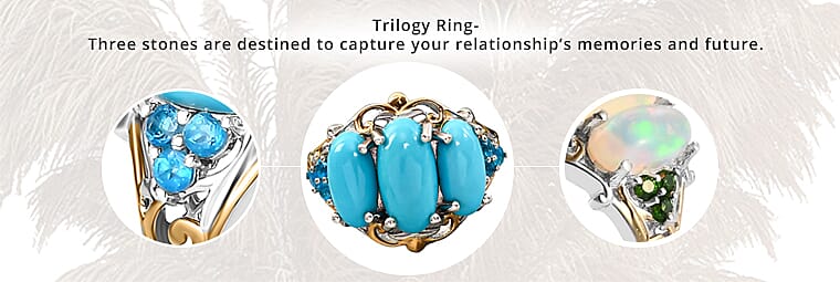 Captivating Colors that Mesmerize Your Senses Banner