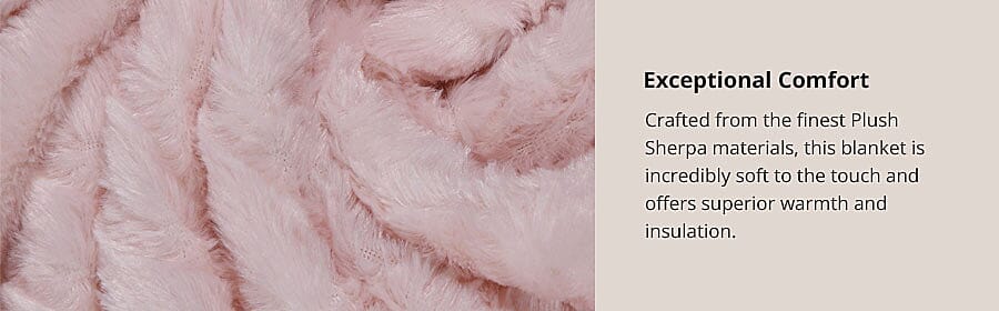 Exceptional Comfort Banner