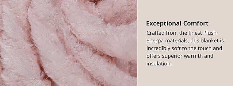 Exceptional Comfort Banner