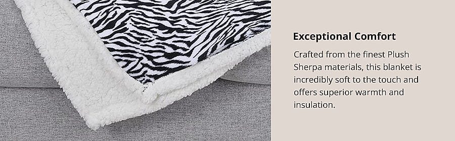 Exceptional Comfort Banner