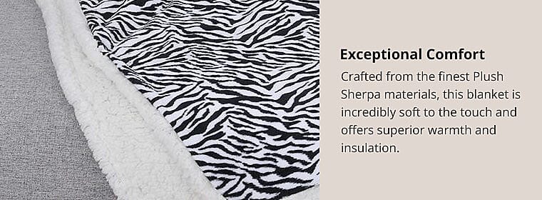 Exceptional Comfort Banner