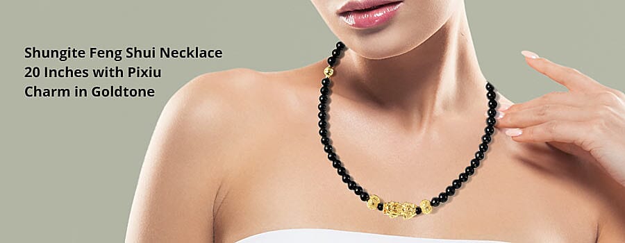Shungite Feng Shui Necklace 20 Inches with Pixiu Charm in Goldtone Banner